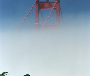 Bridge iin the fog